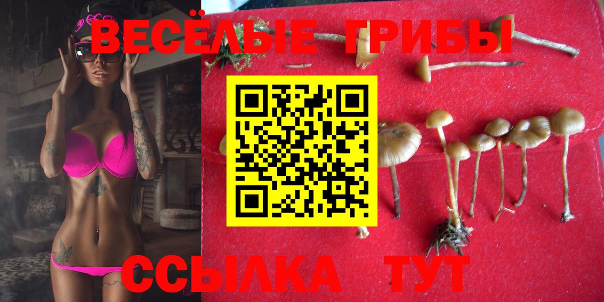 Псилоцибиновые грибы GOLDEN TEACHER Верхний Уфалей